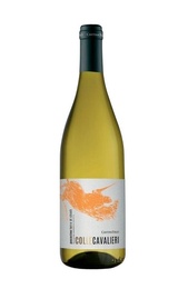 Вино Cantina Tollo Colle Cavalieri Pecorino Terre di Chieti 2021 0,75 л