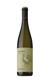 Вино Concilio Pinot Grigio 2021 0,75 л