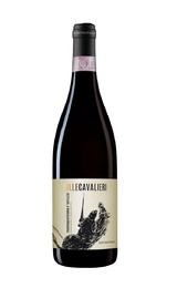 Вино Cantina Tollo Colle Cavalieri Montepulciano d’Abruzzo 2020 0,75 л