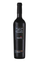 Вино Roeno Enantio Valdadige Terradeiforti 2019 0,75 л