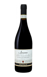 Вино Gerardo Cesari Salvalai Amarone della Valpolicella Classico 2017 0,75 л