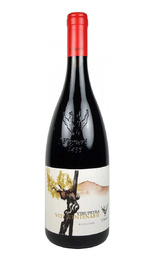 Вино I Vigneri di Salvo Foti Etna Rosso 2021 0,75 л