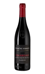 Вино Domini Veneti Amarone della Valpolicella Classico 2019 0,75 л