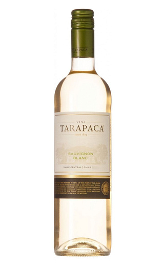 фото вино Tarapaca Sauvignon Blanc 2023 0,75 л