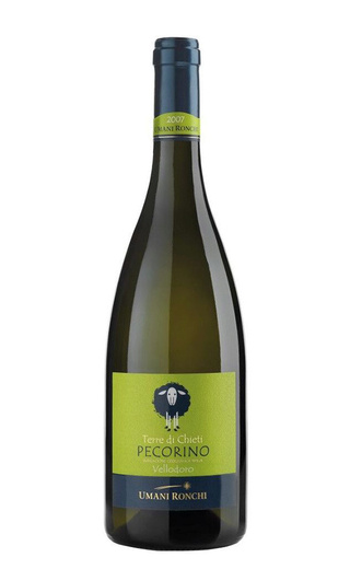 фото вино Umani Ronchi Vellodoro Pecorino Terre di Chieti 2023 0,75 л