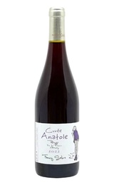 Вино Fanny Sabre Cuvee Anatole Gamay 2022 0,75 л