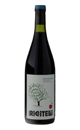 Вино Matias Riccitelli The Apple doesn't fall far from the Tree Bonarda Mendoza 2021 0,75 л