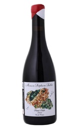 Вино Stephane Saillet Pinot Noir 2022 0,75 л